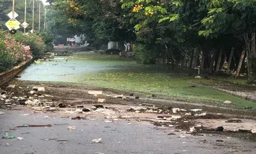 Road to Dandamudi Enclave inundated