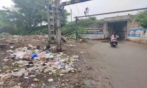 Garbage heaps, pigs worry residents