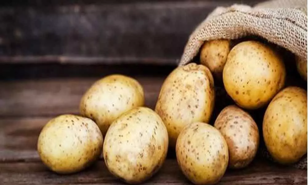 Eating potato as effective as carbohydrate gels: Study