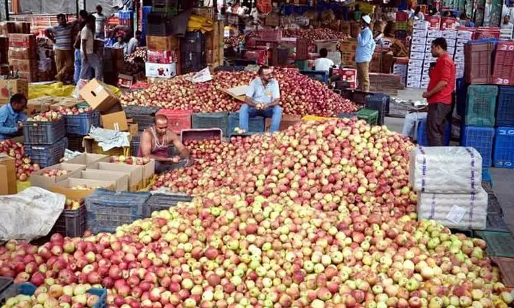 Kashmiri apple growers send 6 lakh tons of apples outside