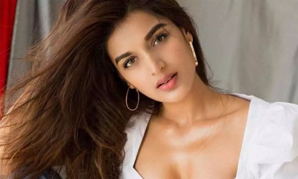 Nidhhi Agerwal scotches dating rumours