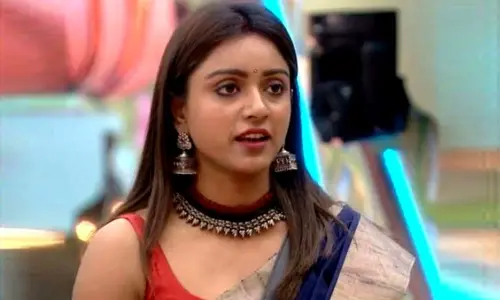 This contestant eliminated from Bigg Boss 3 before finale?