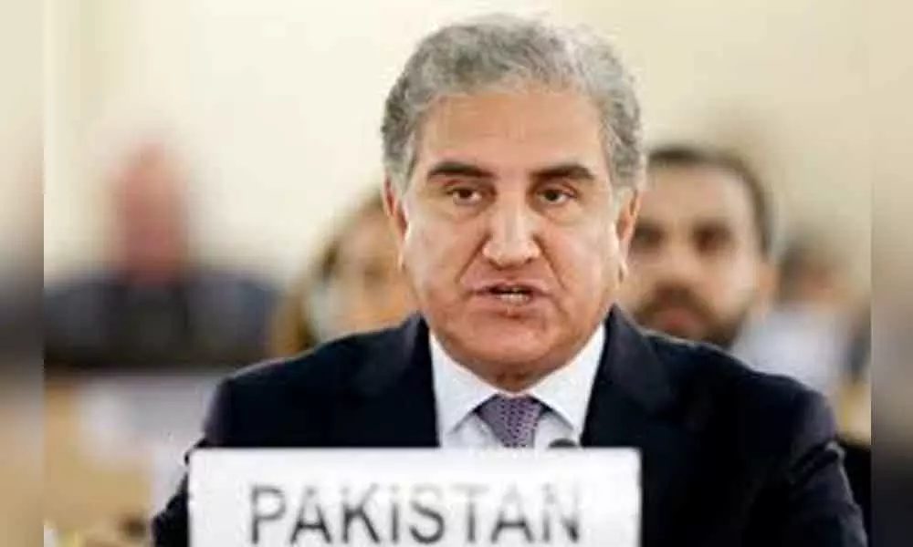 India has failed to get Pakistan included in FATF blacklist: Qureshi