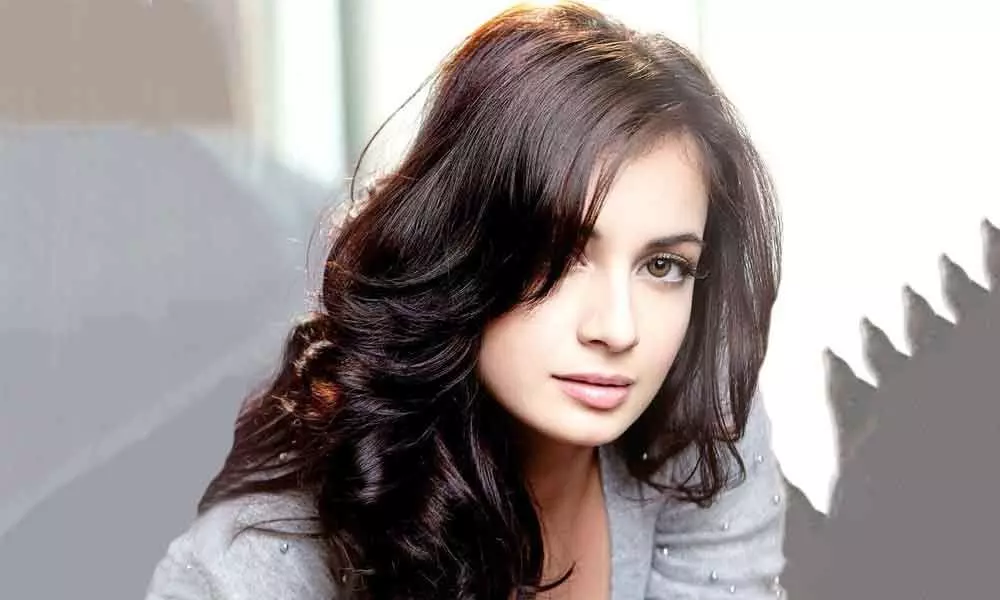 Dia Mirza on a roll