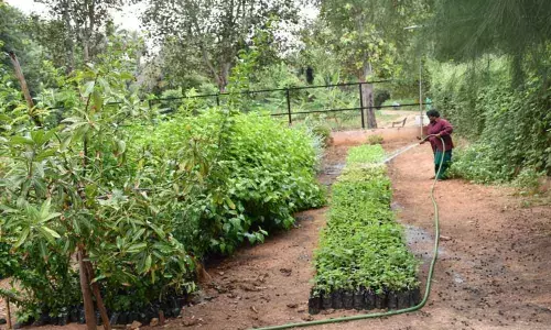 Organic veggies for zoo inmates