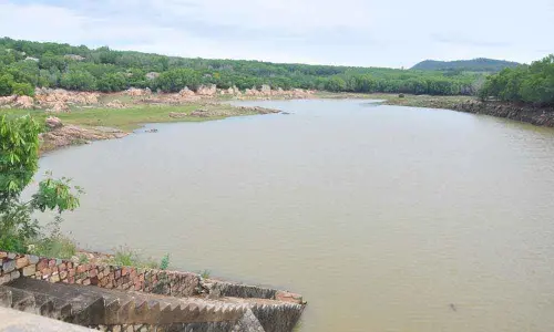 Rains bring significant inflows to dams in and around Tirumala