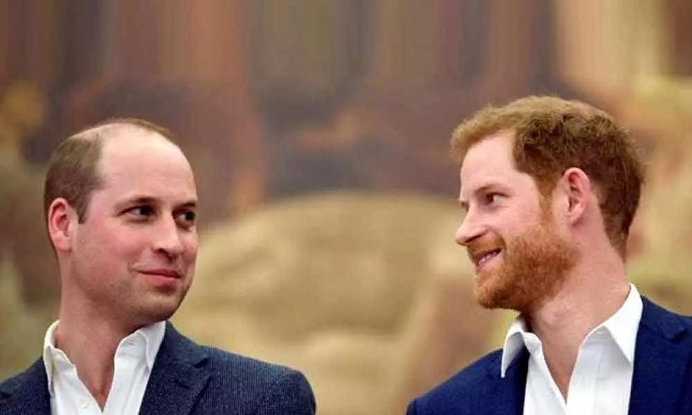 Prince Harry admits he and Prince William are on different paths