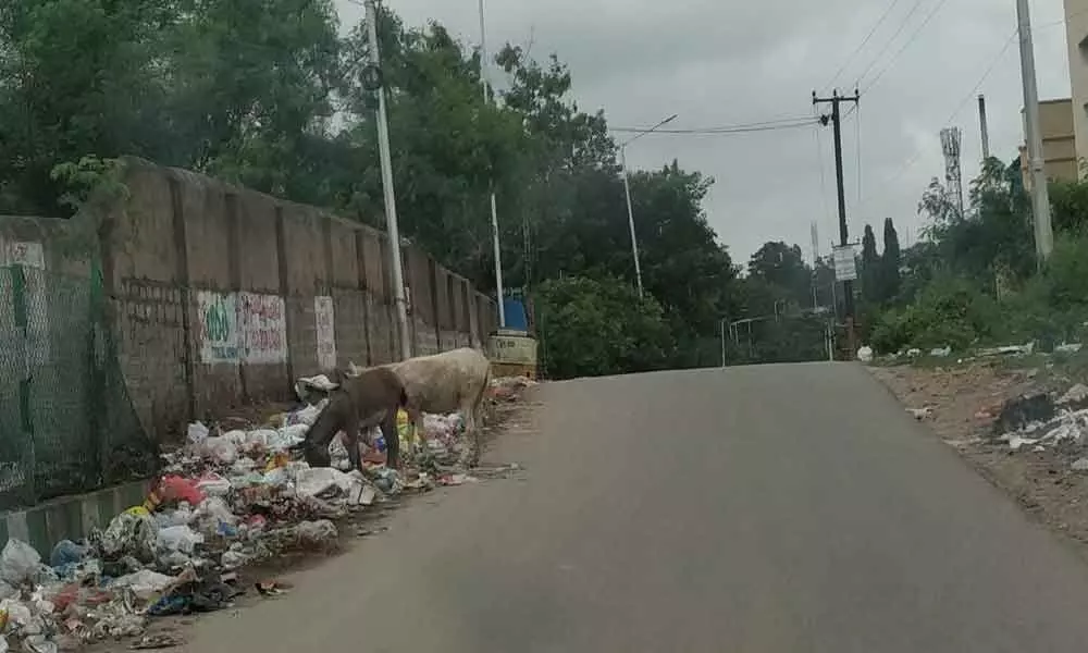 Roadside turns into dump yard