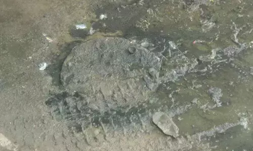 Sewage overflows in Reddy Nagar