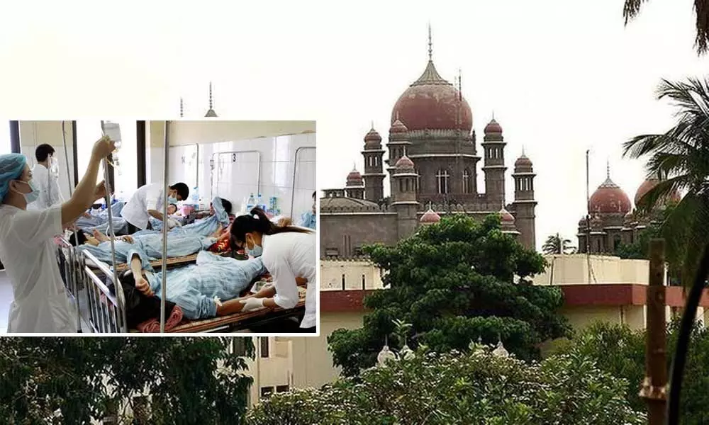 Hyderabad HC upset over dengue deaths, seeks explanation from govt