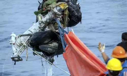 Investigations show reason for Lion 737 MAX crash is flight control system