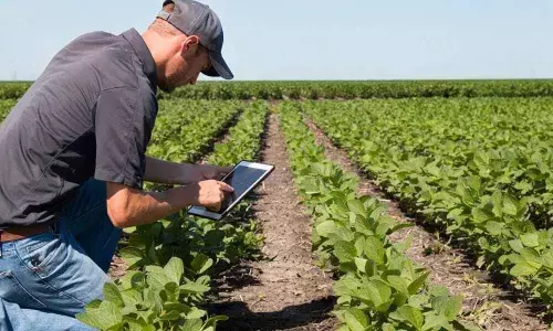 How IT, communication can boost sustainable farming in India