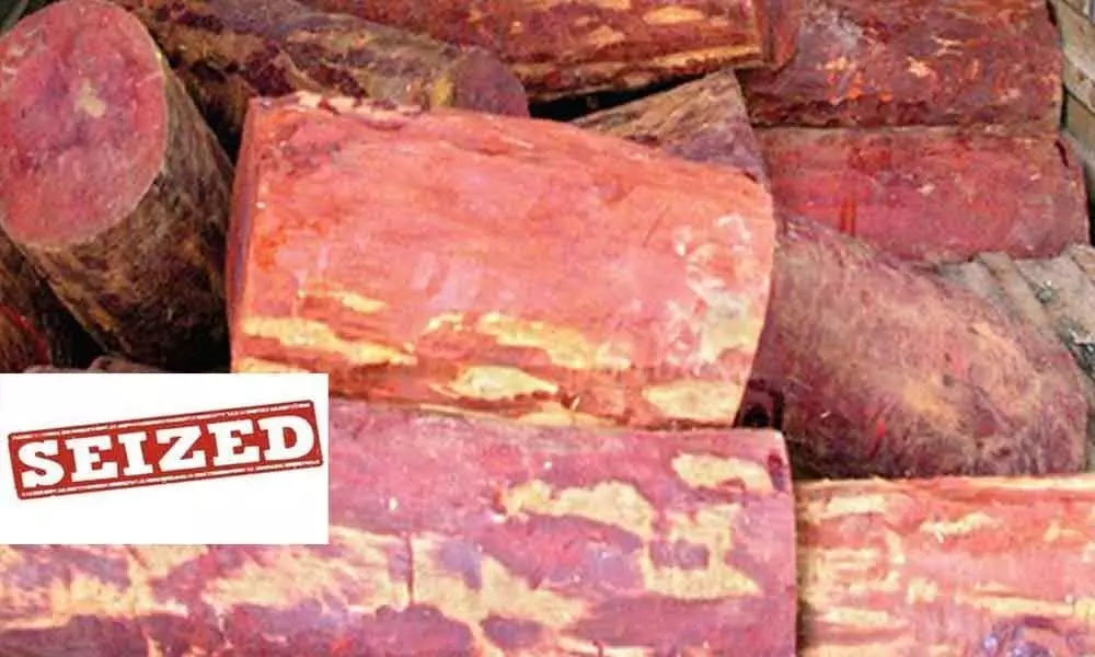 Tirupati: Police Seize 90 Logs Of Red Sandalwood at Sri City