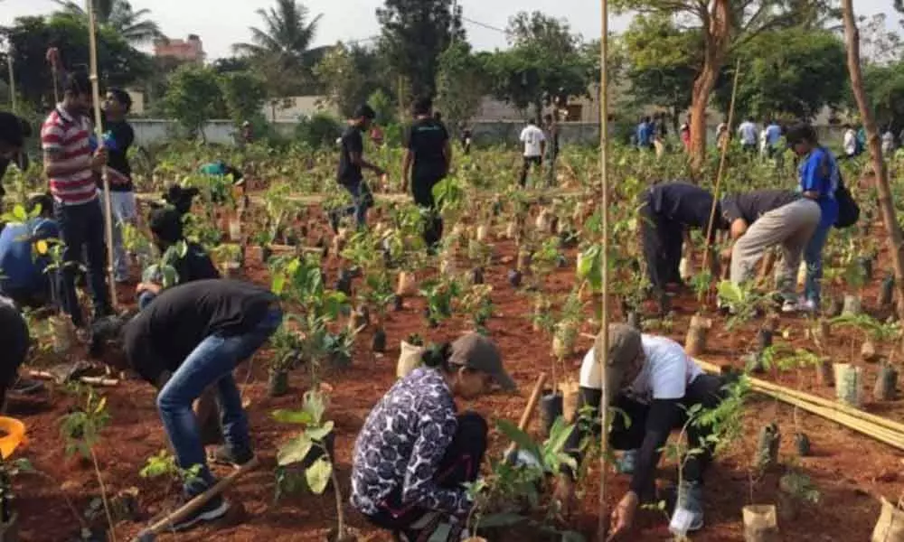 Tamil Nadu Governor kickstarts tree-growing project near Coimbatore