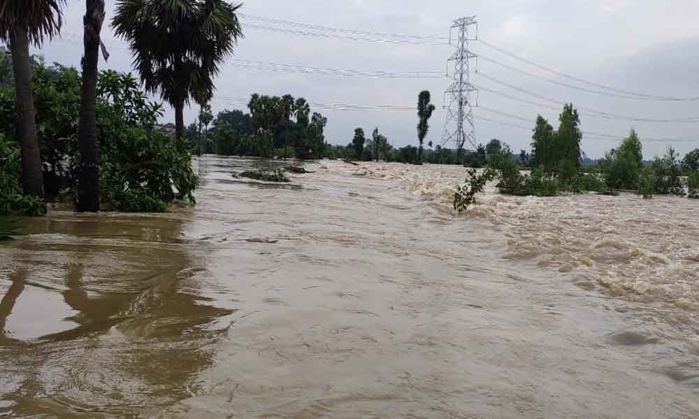 Rains Wreak Havoc In District, Paddy Crops Submerged In Srikakulam