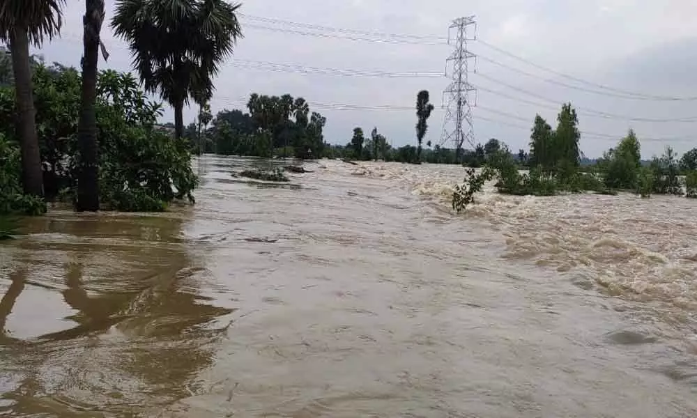 Rains wreak havoc in district, paddy crops submerged in Srikakulam