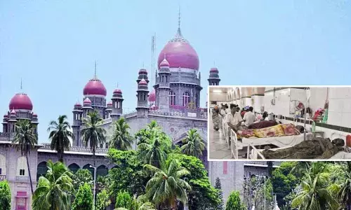 Pay Rs 50 lakh as compensation if failed to control dengue: HC