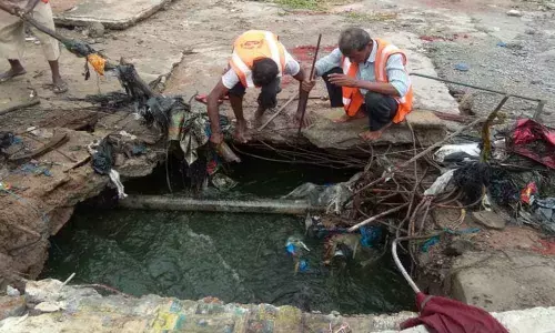 Solid wastes removed from nala