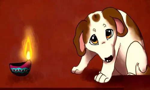 Make this Diwali happy for animals, urges HSI