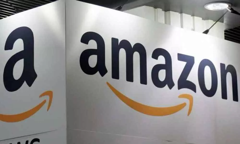 E-commerce giant Amazons earnings fall for first time in two years