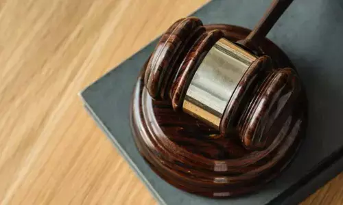 Delhi court grants guardianship to woman after husband abducts their toddler and flees to Dubai