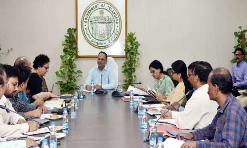 Babus told to prepare action plan to prevent vector-borne diseases