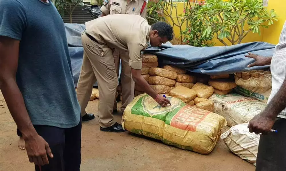 Vizag: Cannabis with estimated value of Rs 25 lakh seized