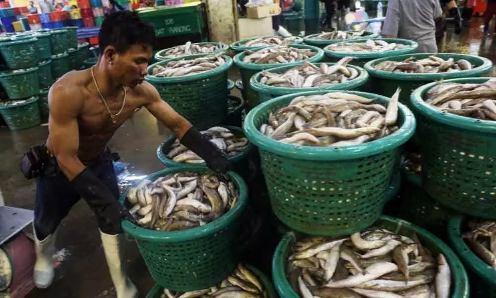 Trump hits Thai seafood industry over worker rights