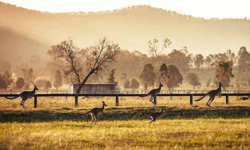 Say cheers on vacay!