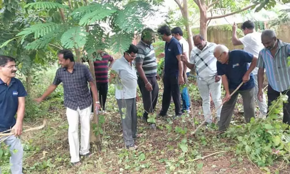 Srikakulam: 200 saplings planted in park