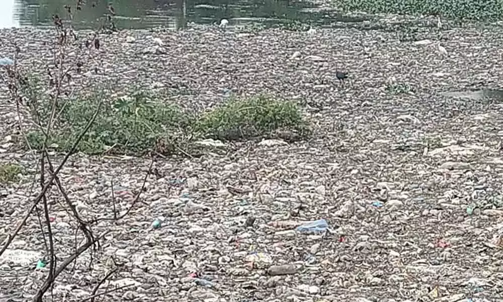 Plastic waste dumped in Lake