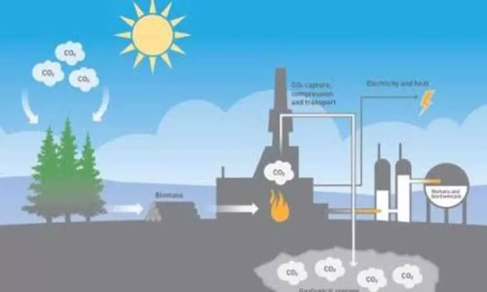 New technology removes carbon dioxide from the air: Study