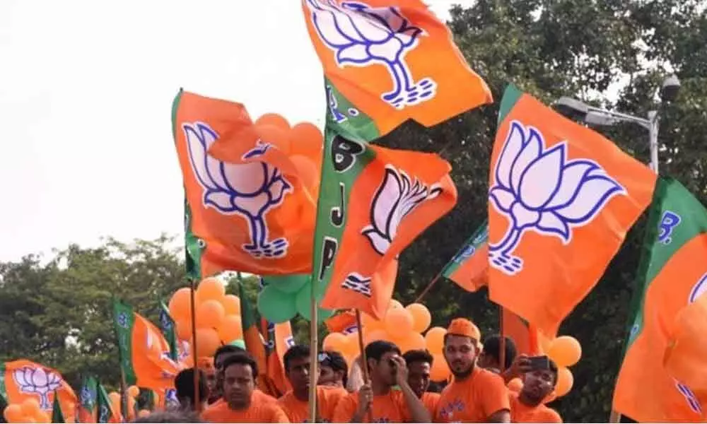 Choice before BJP: Hindu rashtra one, polls another