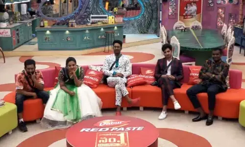 Bigg Boss Telugu: This Top Contestant In Bigg Boss House