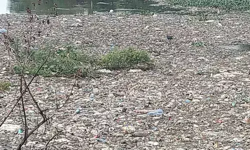 Plastic waste dumped in Lake Plastic waste dumped in Lake