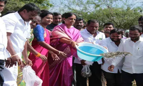 TS Govt striving for welfare of fishermen: Sabitha Reddy