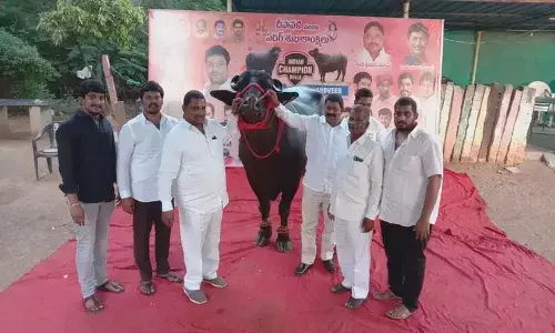 Moinabad gearing up for Sadar festival