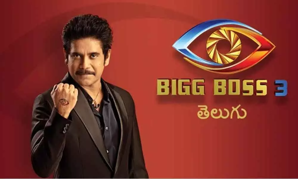 Bigg Boss 3 Telugu completes 100 days