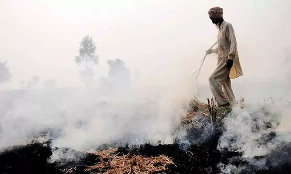 Crop Burning spike to worsen pollution problem in Delhi: Weather Agency