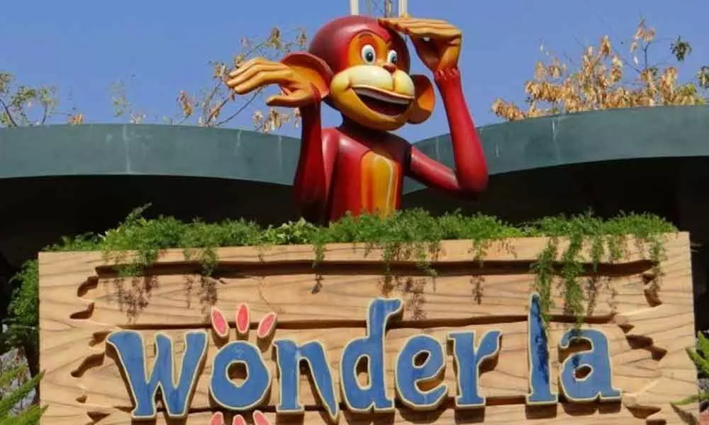 Wonderla Holidays posts Rs 16 lakh Q2 net