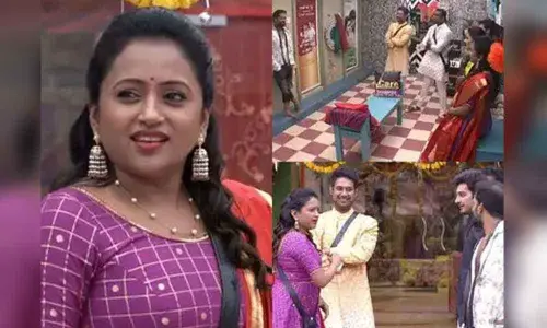 Bigg Boss Telugu Season 3: Episode 100 Highlights