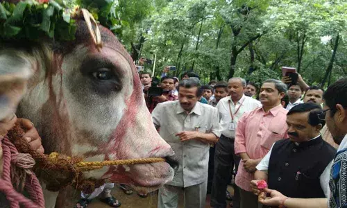 Vrushabhotsavam held at Vidyapeetha in Tirupati