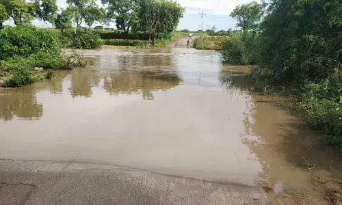 Kamareddy: Kalyani project full with rainwater