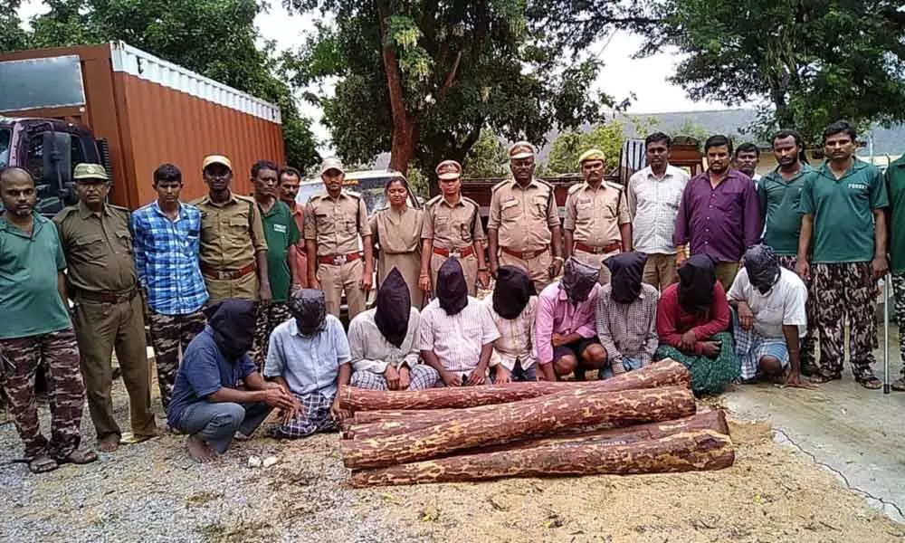 9 Red sander smugglers arrested in Kadapa