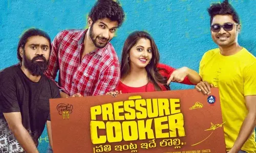 Pressure Cooker sold for fancy price