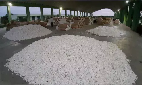 Mahbubnagar: Farmers stage road blockade seeking cotton sale