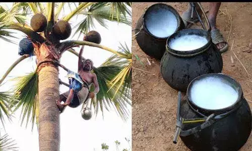 Beware, Neera may give nasha, warns Forum for Good Governance