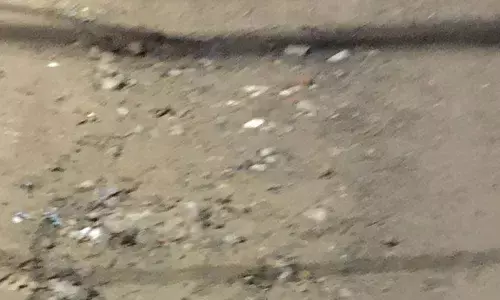 Road wallows in official apathy