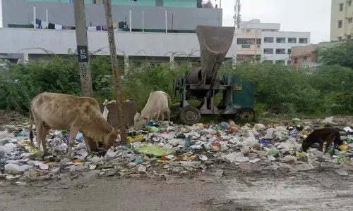 Save Yogimallavaram!