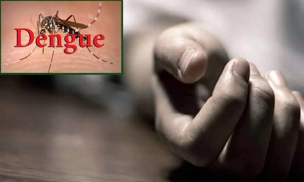 Dengue claims four lives on a single day across Telangana